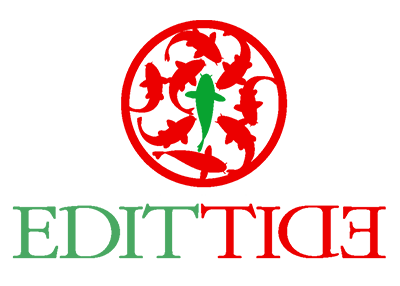 EdittidE Logo